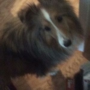 Meet your Posher, Joan